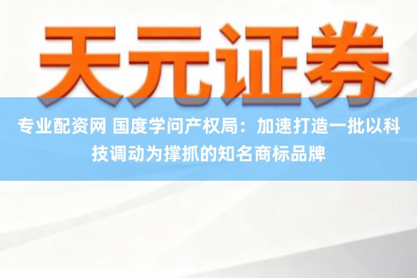 专业配资网 国度学问产权局：加速打造一批以科技调动为撑抓的知名商标品牌