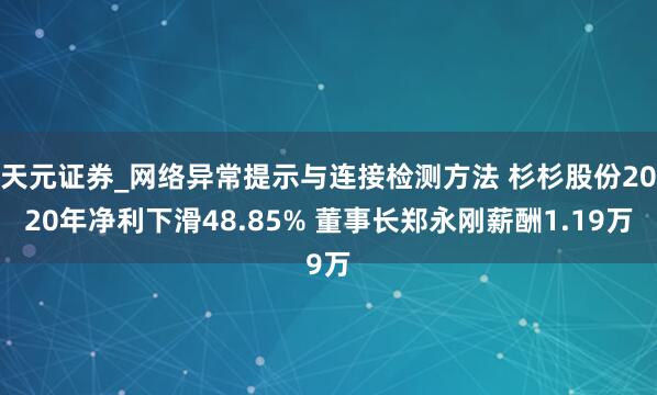 天元证券_网络异常提示与连接检测方法 杉杉股份2020年净利下滑48.85% 董事长郑永刚薪酬1.19万