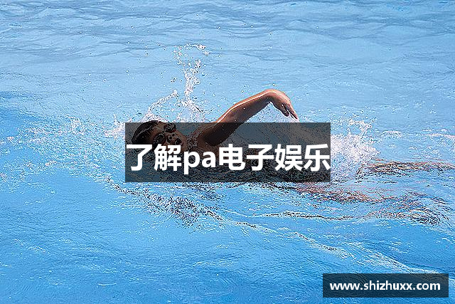 了解pa电子娱乐